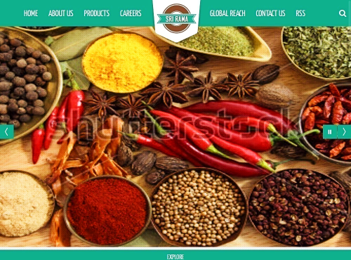 FMCG company Web Design